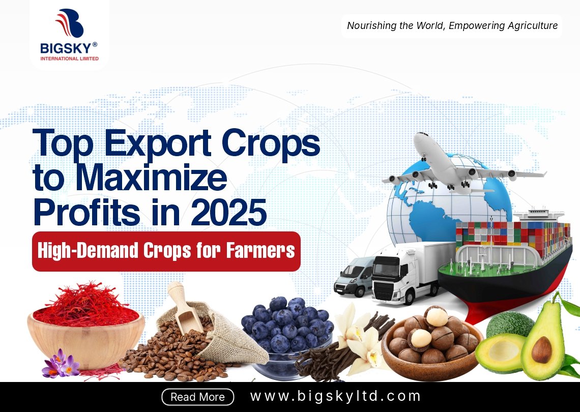 Top Export Crops