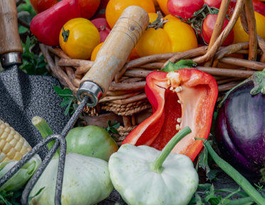 Our Location - Ilewo-Orile, Abeokuta North