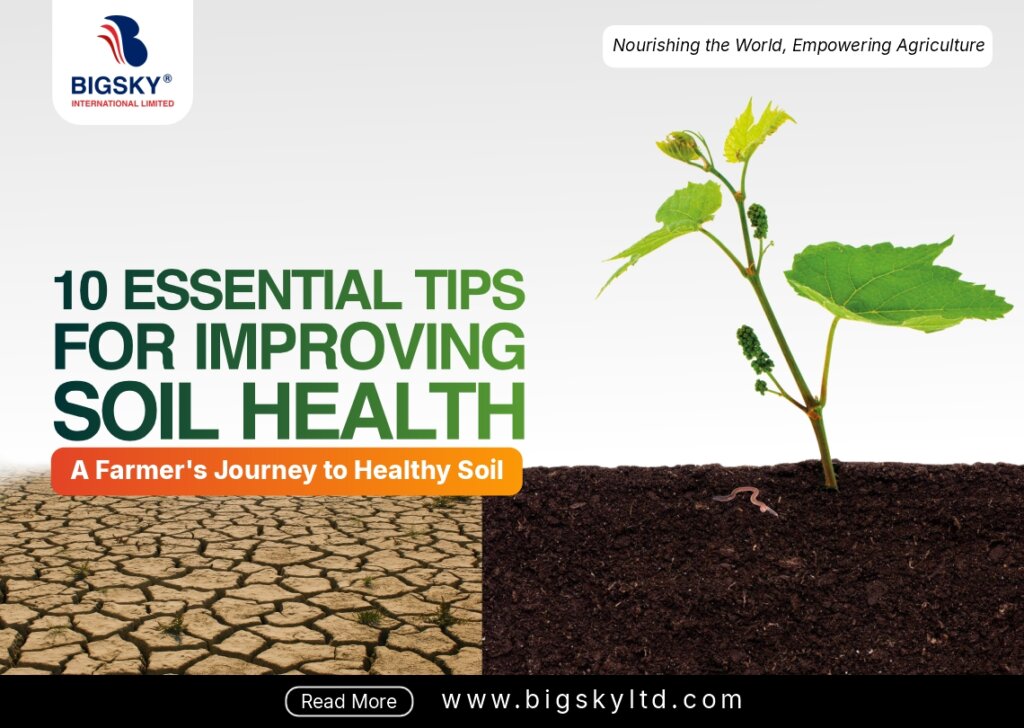 10 Essential Tips for Improving Soil Health and Boosting Crop Yields Effectively